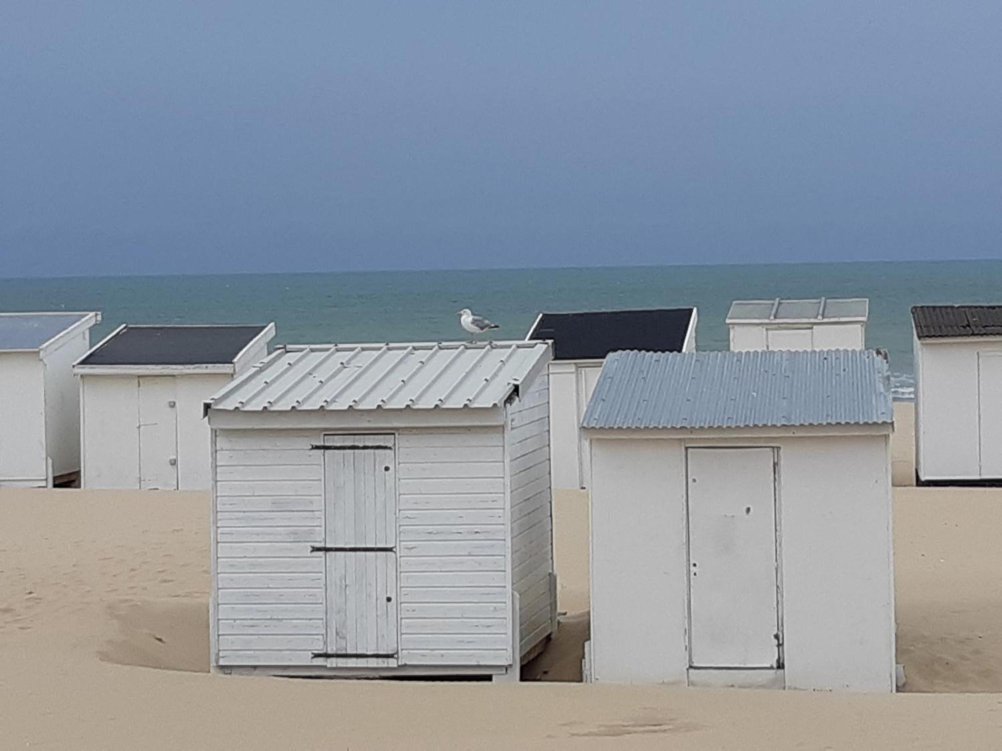 Calais Plage - Magnifique Studio - Front De Mer Экстерьер фото